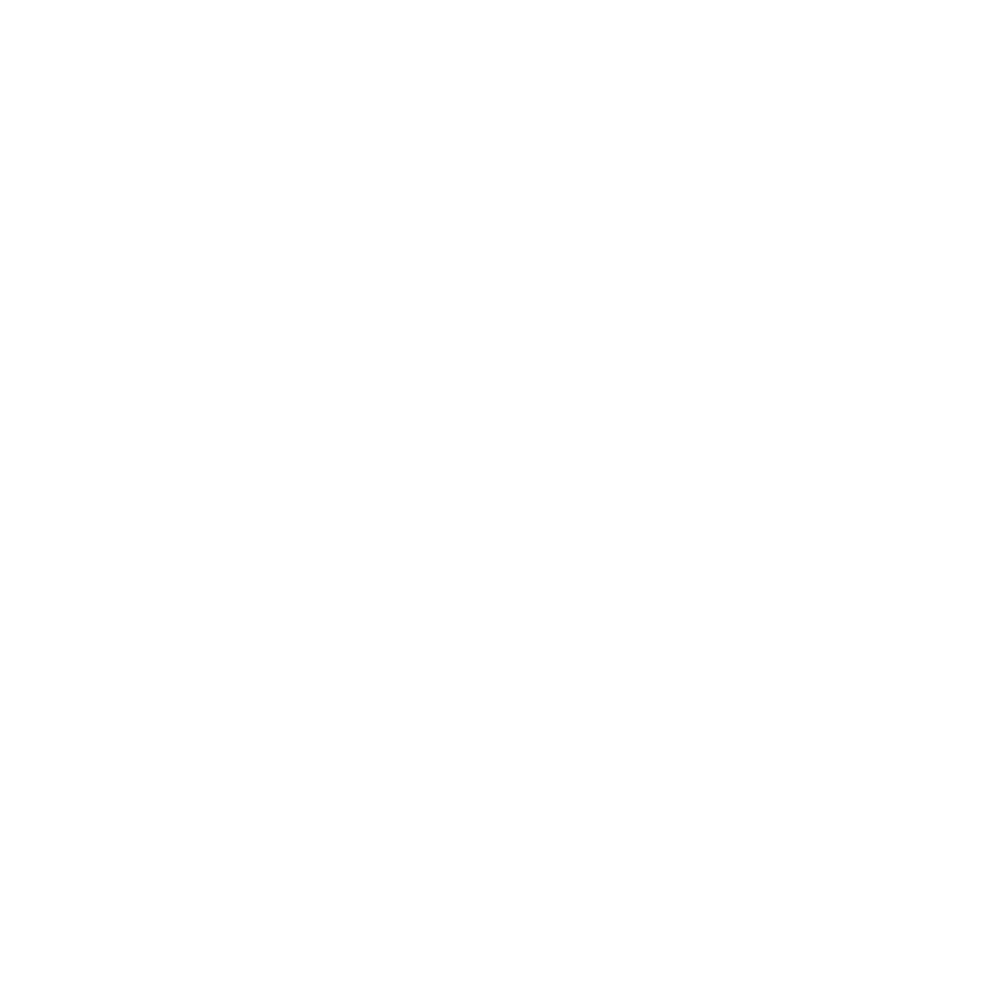 GVig Singapore